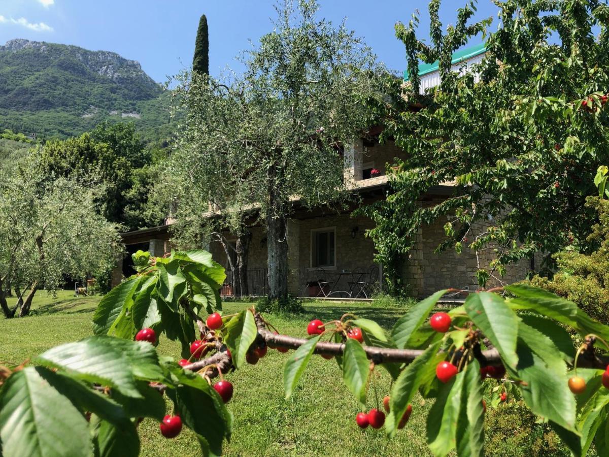 La Cascata Negli Ulivi Bed and Breakfast Toscolano Maderno Buitenkant foto