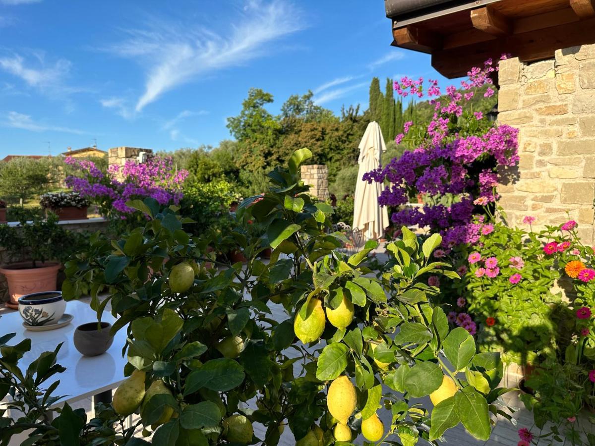 La Cascata Negli Ulivi Bed and Breakfast Toscolano Maderno Buitenkant foto