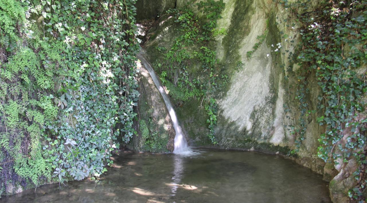La Cascata Negli Ulivi Bed and Breakfast Toscolano Maderno Buitenkant foto