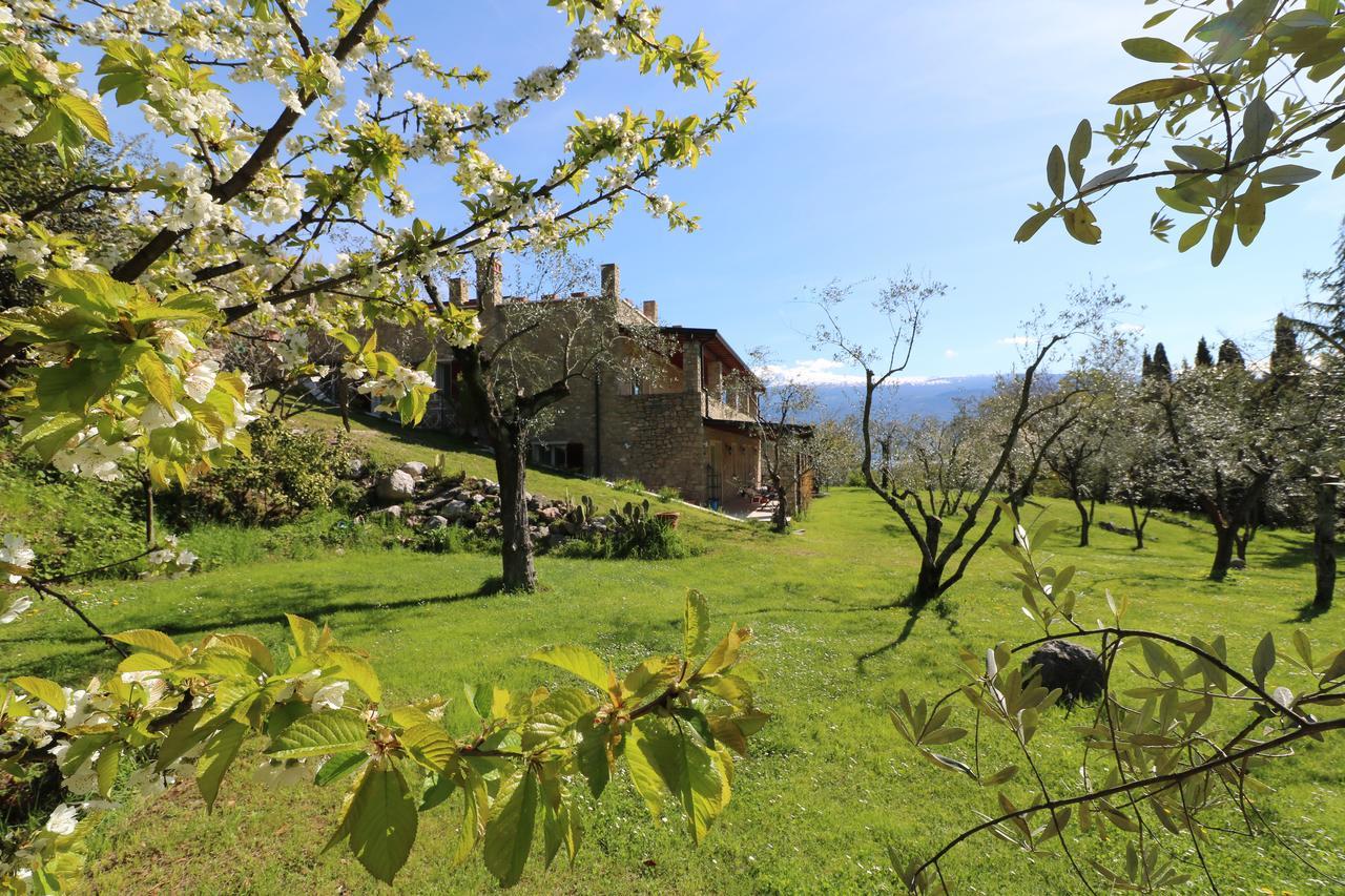 La Cascata Negli Ulivi Bed and Breakfast Toscolano Maderno Buitenkant foto