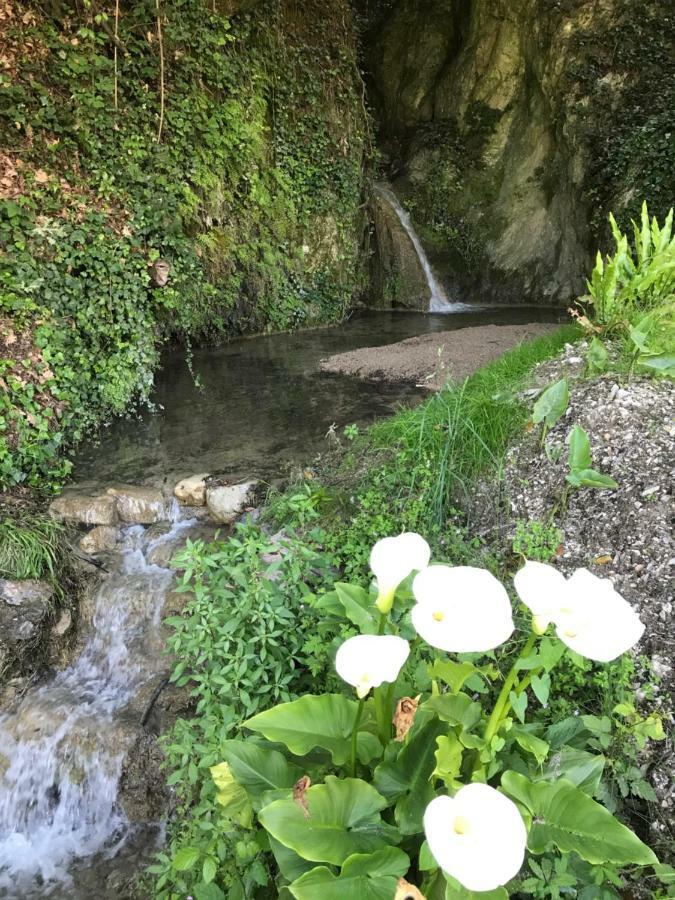 La Cascata Negli Ulivi Bed and Breakfast Toscolano Maderno Buitenkant foto