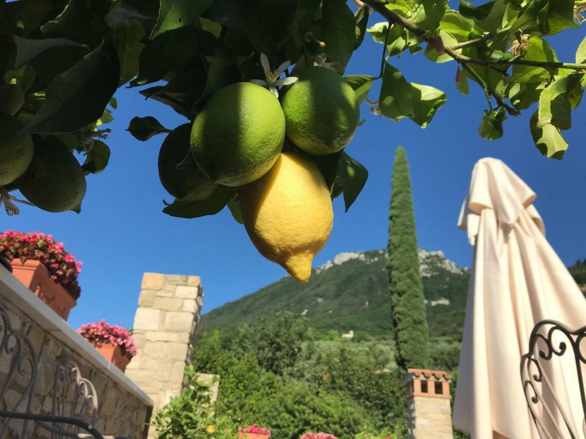 La Cascata Negli Ulivi Bed and Breakfast Toscolano Maderno Buitenkant foto