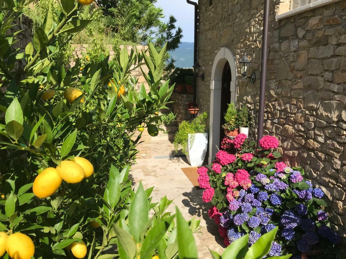 La Cascata Negli Ulivi Bed and Breakfast Toscolano Maderno Buitenkant foto