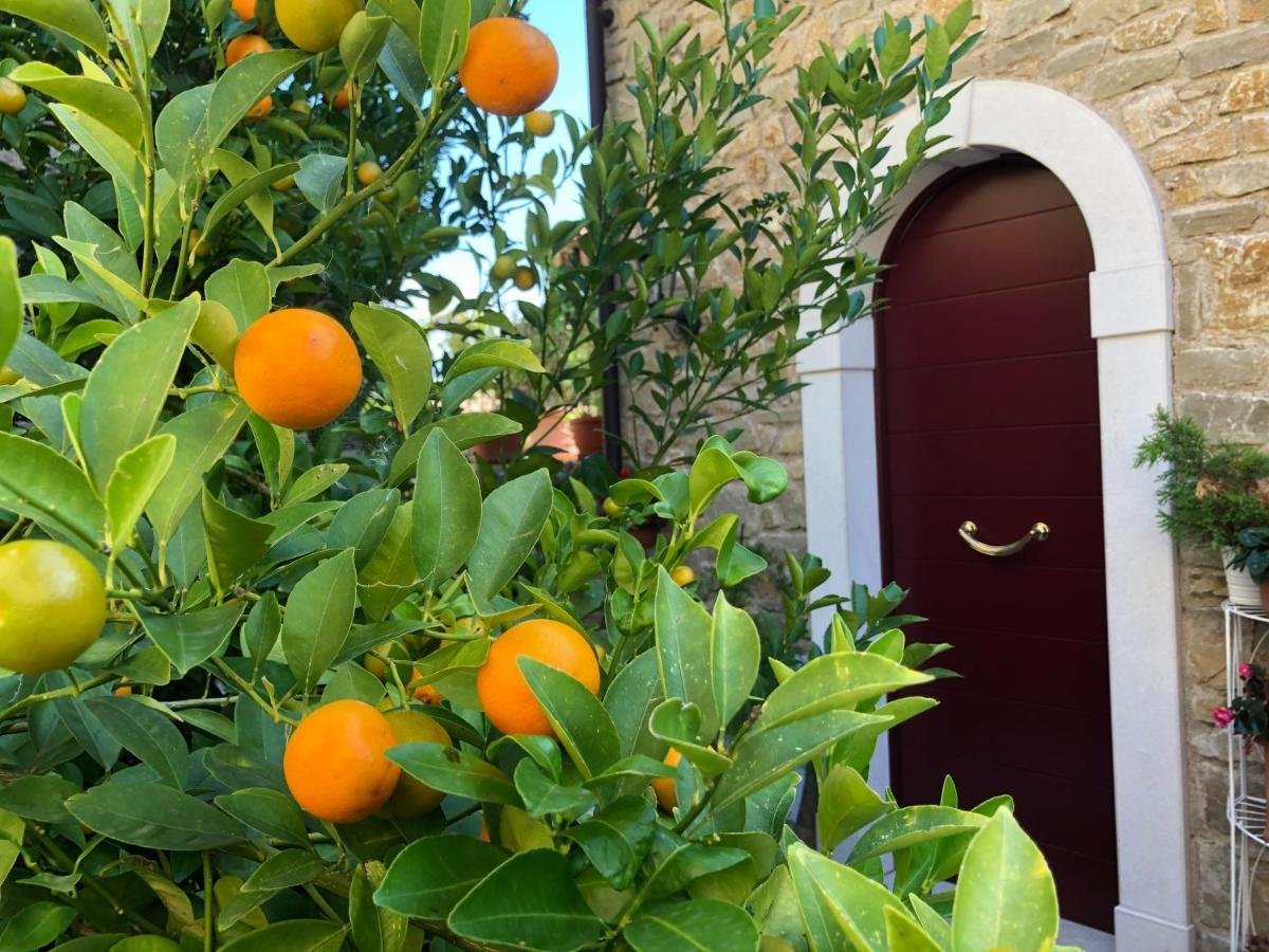 La Cascata Negli Ulivi Bed and Breakfast Toscolano Maderno Buitenkant foto